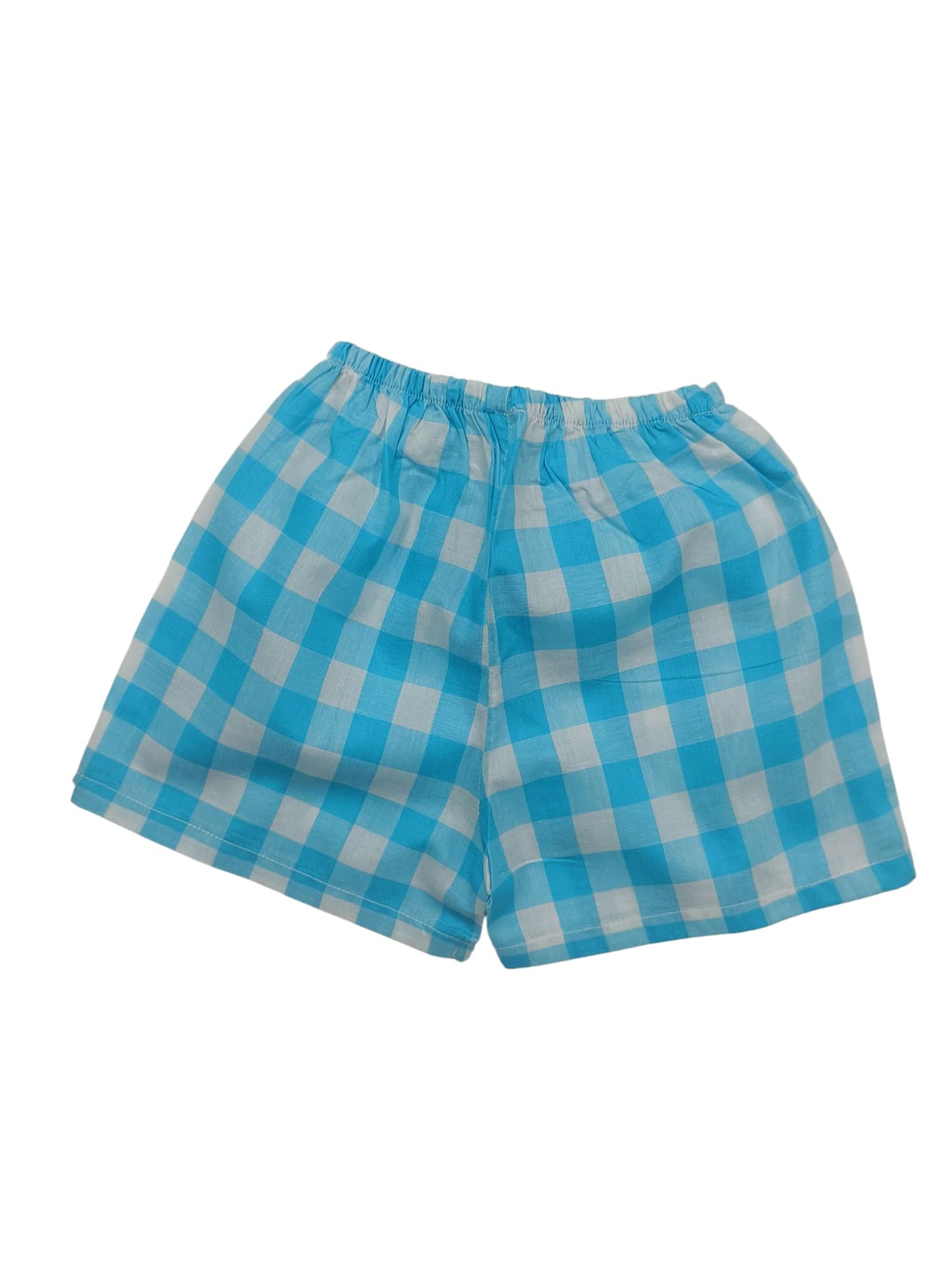 Sky Blue voile shirt with matching pant