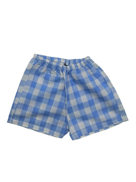 Blue Check voile shirt with matching pant